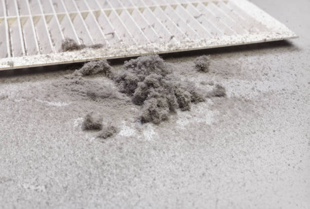Best Affordable HVAC Duct Cleaning  in Callaway, FL