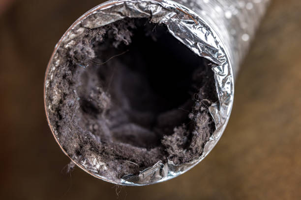 Best Air Duct Sanitizing Services  in Callaway, FL