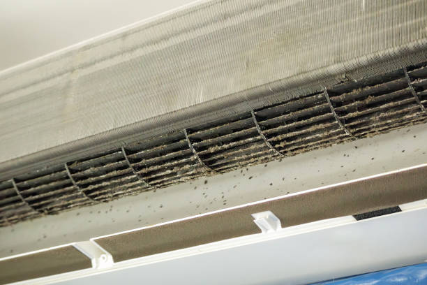 Home Air Vent Cleaning in FL